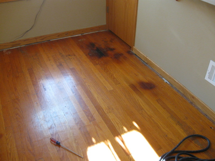 oak with stains.jpg